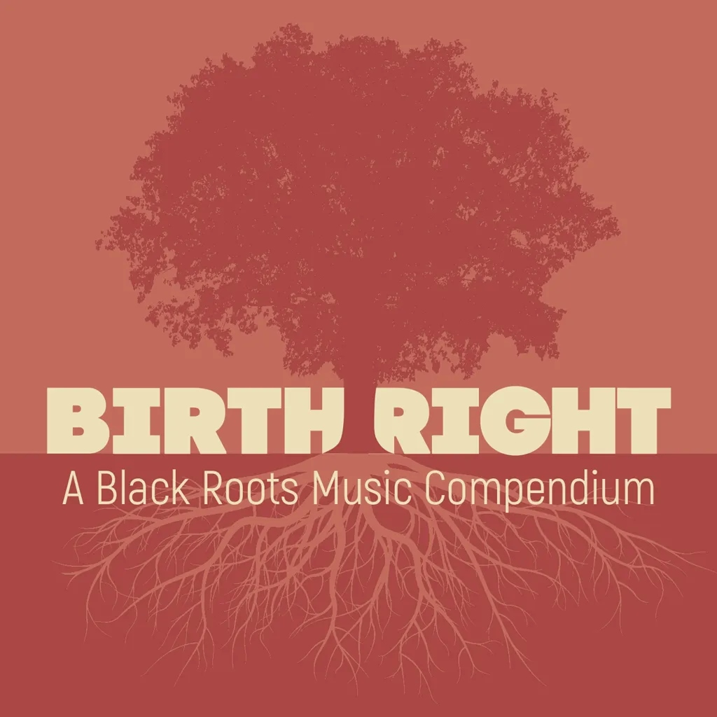 Album artwork for Birthright: A Black Roots Music Compendium by Various