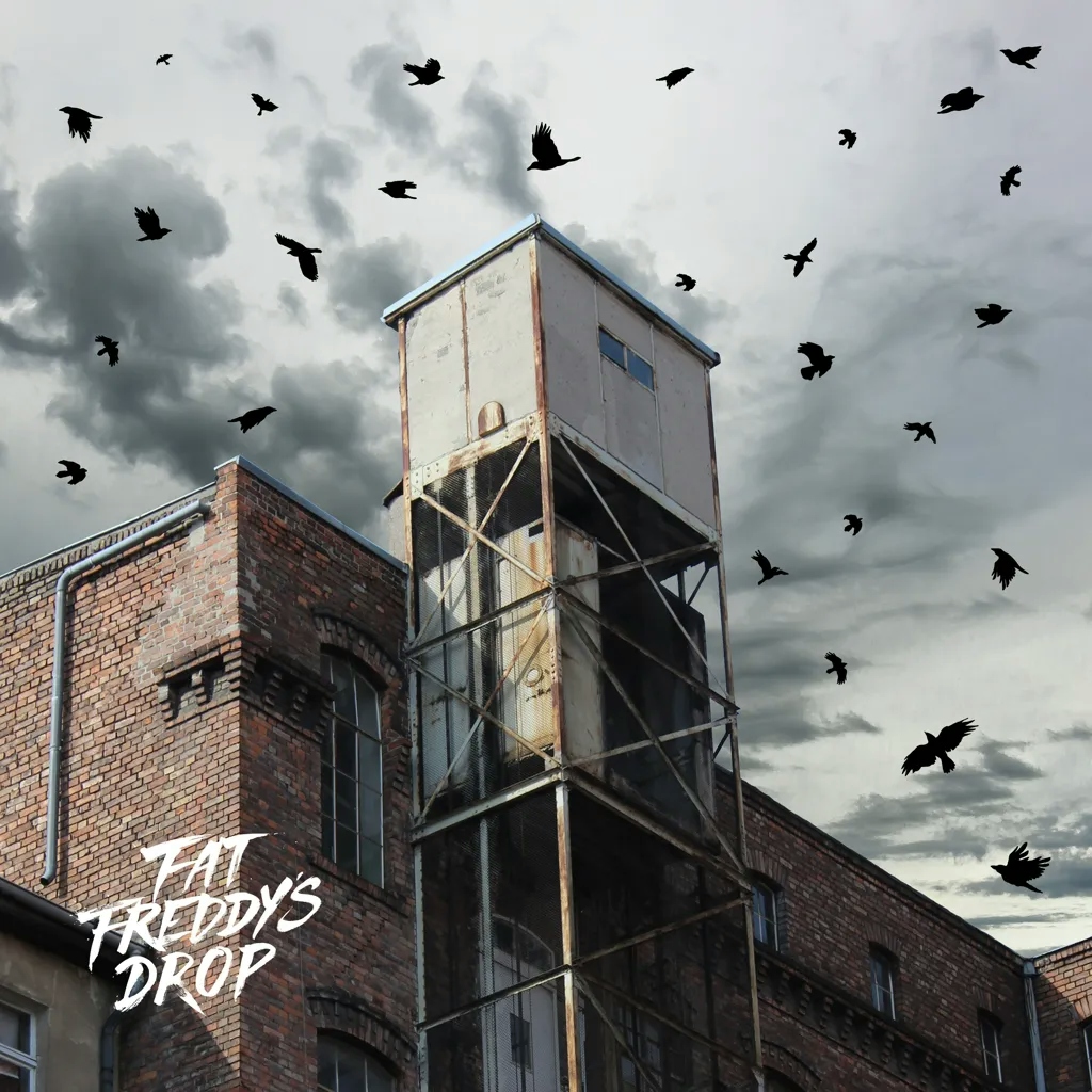 Album artwork for Blackbird Returns (Remixes) by Fat Freddy's Drop