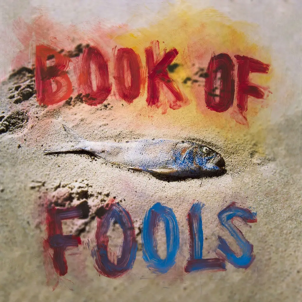 Album artwork for Book Of Fools by Mipso