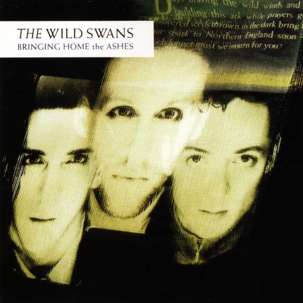 Album artwork for Bringing Home The Ashes by The Wild Swans