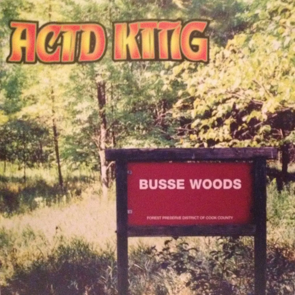 Album artwork for Busse Woods by Acid King