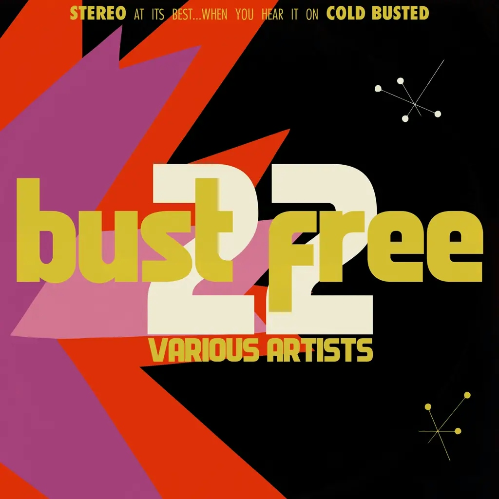 Album artwork for Bust Free 22  by Various Artists