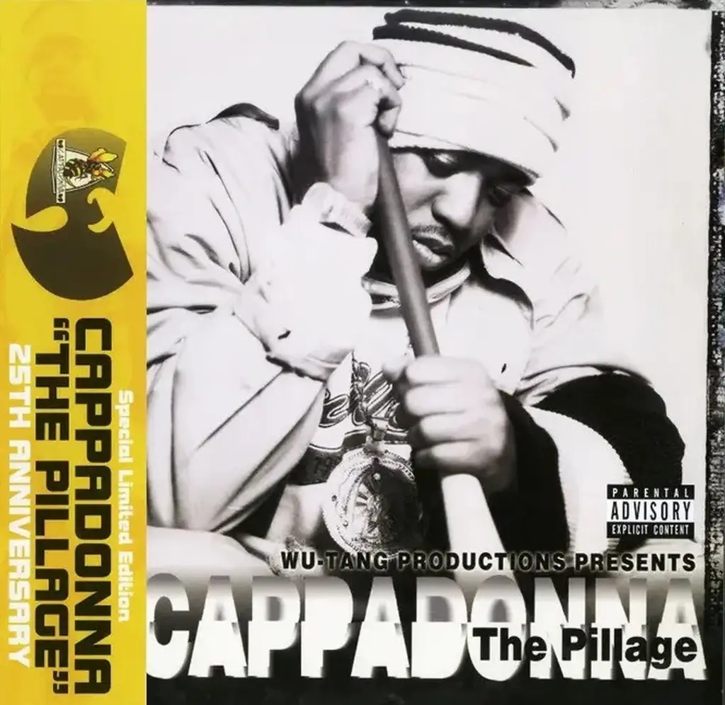 Album artwork for The Pillage by Cappadonna