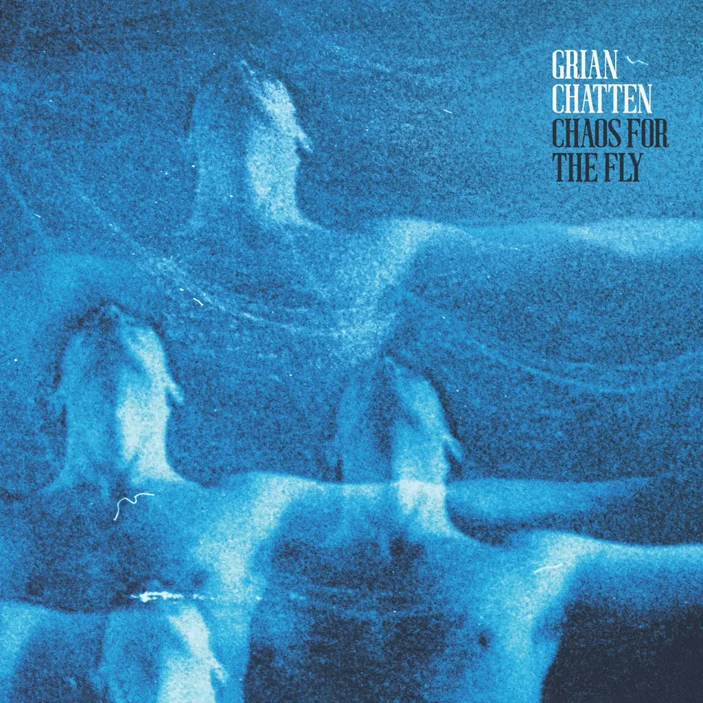 Album artwork for Album artwork for Chaos For The Fly by Grian Chatten by Chaos For The Fly - Grian Chatten
