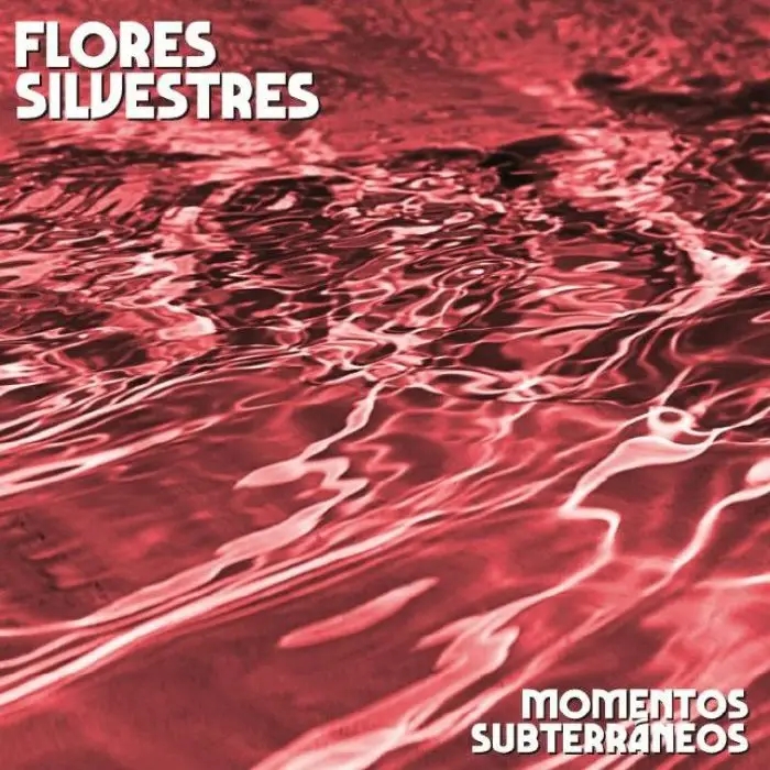 Album artwork for Momentos Subterraneos by Flores Silvestres