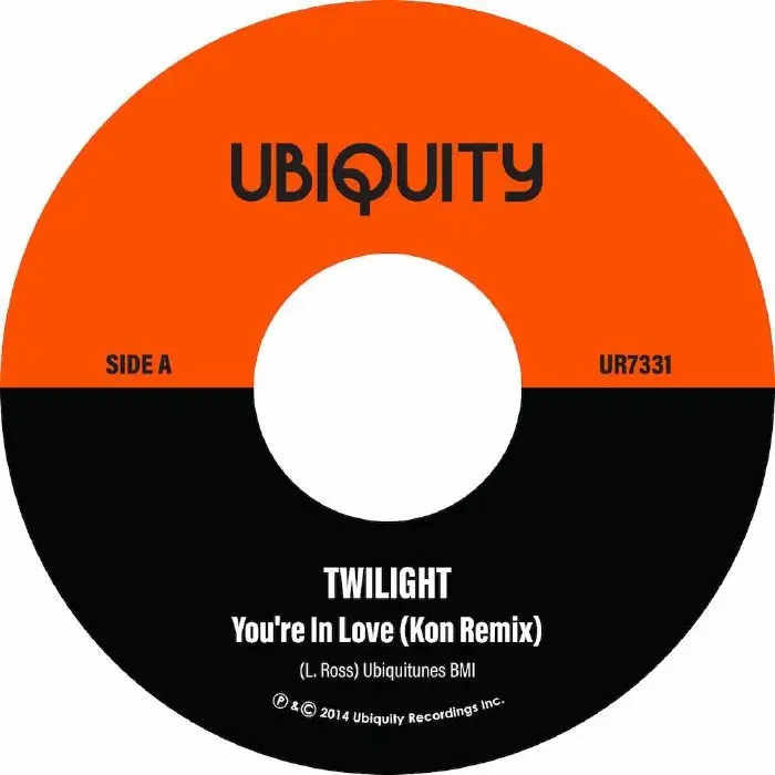 Album artwork for You're In Love (Kon Remix and Dub) by Twilight, Kon
