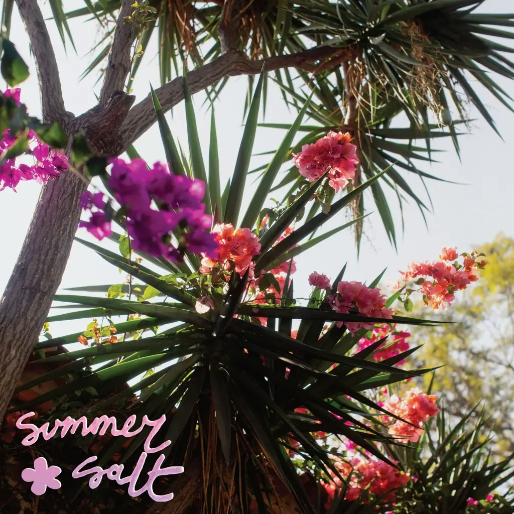Album artwork for Campanita by Summer Salt