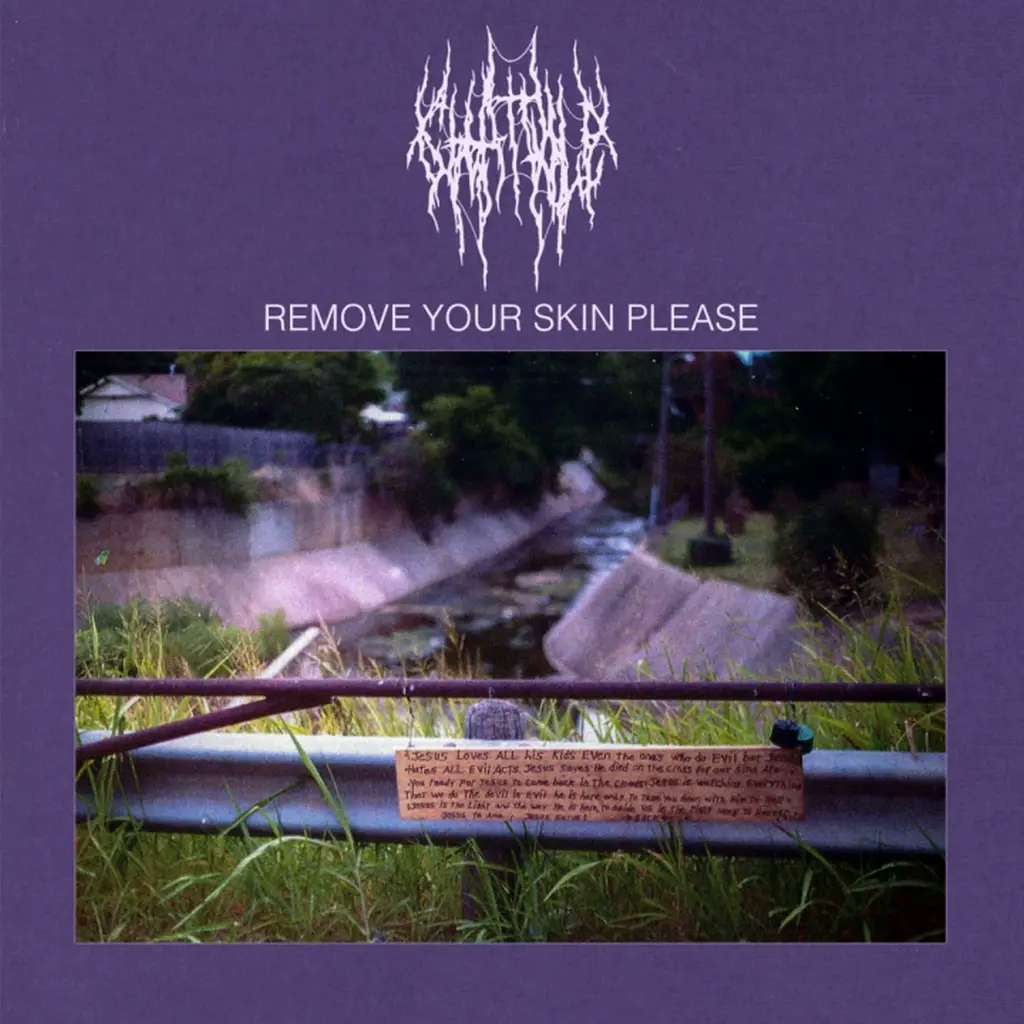 Album artwork for Remove Your Skin Please by Chat Pile