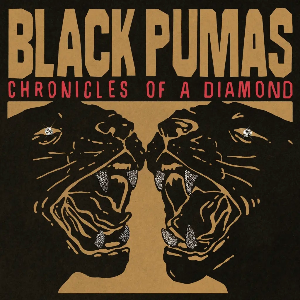 Album artwork for Album artwork for Chronicles Of A Diamond by Black Pumas by Chronicles Of A Diamond - Black Pumas