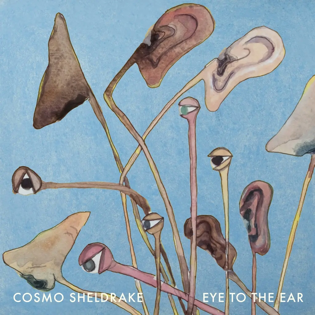 Album artwork for Eye To The Ear by Cosmo Sheldrake