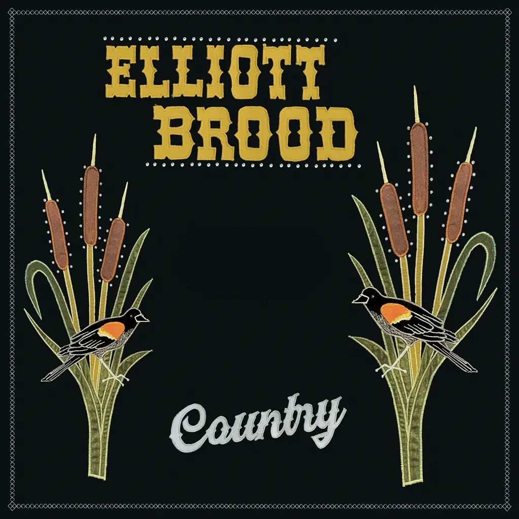 Album artwork for Country by Elliott Brood