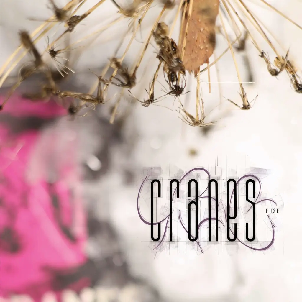 Album artwork for Fuse by Cranes