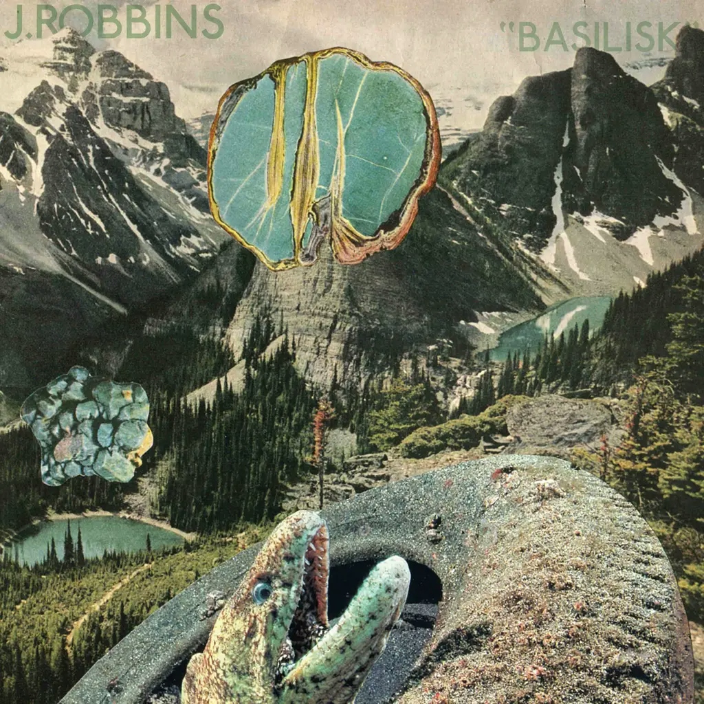 Album artwork for Basilisk by J Robbins