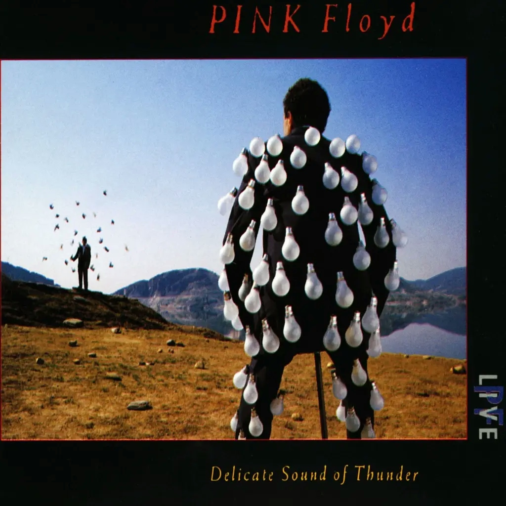 Album artwork for Delicate Sound Of Thunder’ by Pink Floyd
