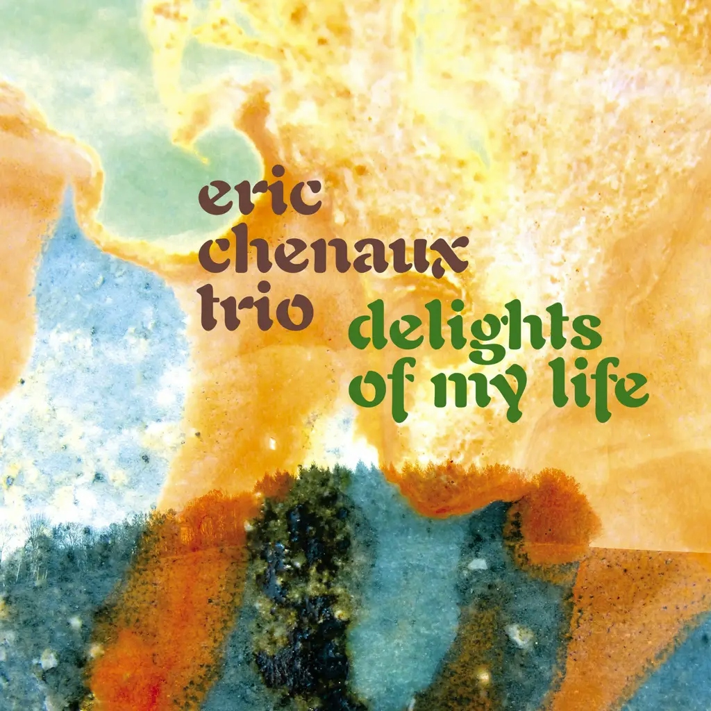Album artwork for Delights Of My Life by Eric Chenaux Trio