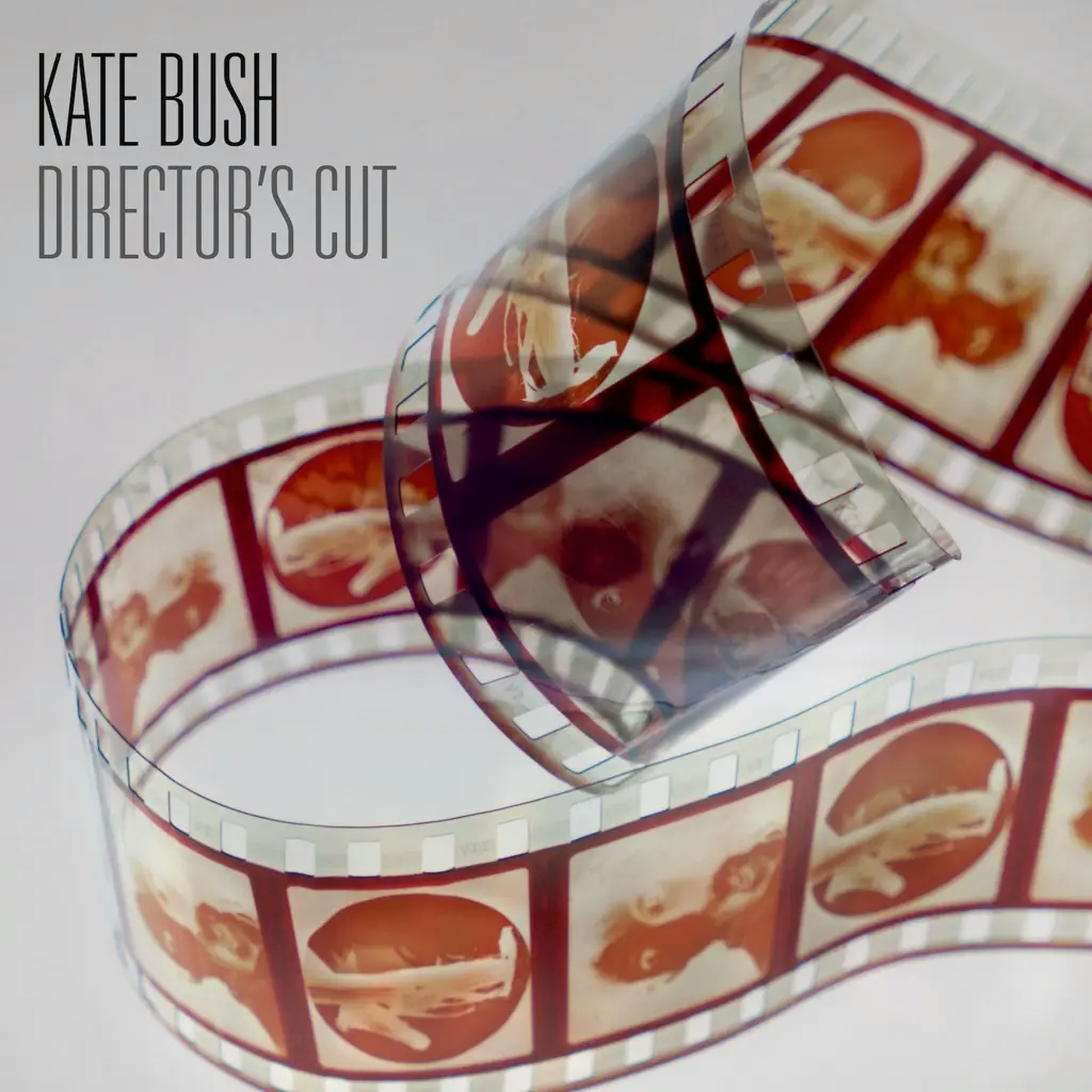Album artwork for Director's Cut (2018 Remaster) by Kate Bush