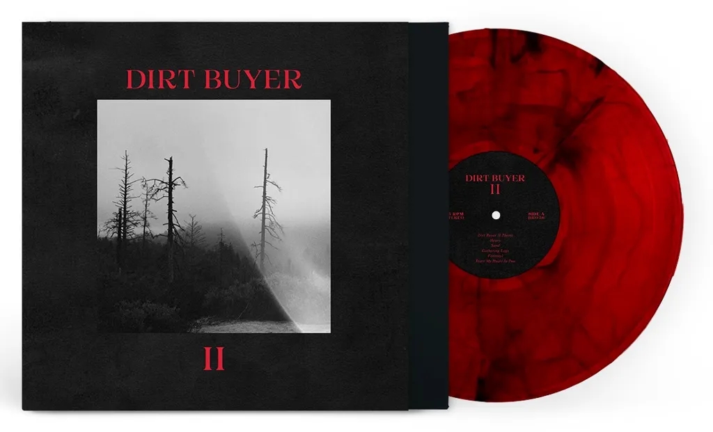 Album artwork for Album artwork for Dirt Buyer II by Dirt Buyer  by Dirt Buyer II - Dirt Buyer 