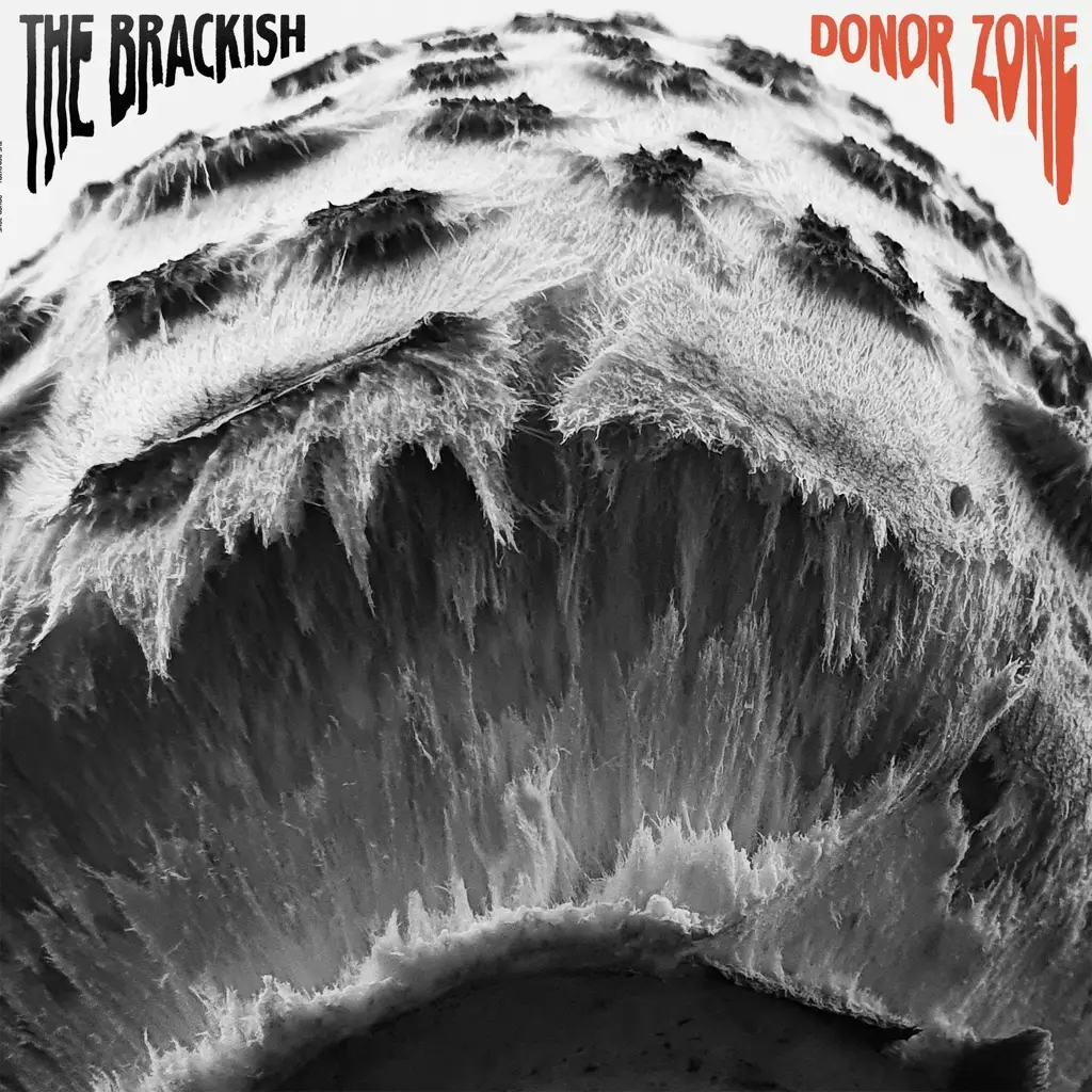 Album artwork for Donor Zone by The Brackish