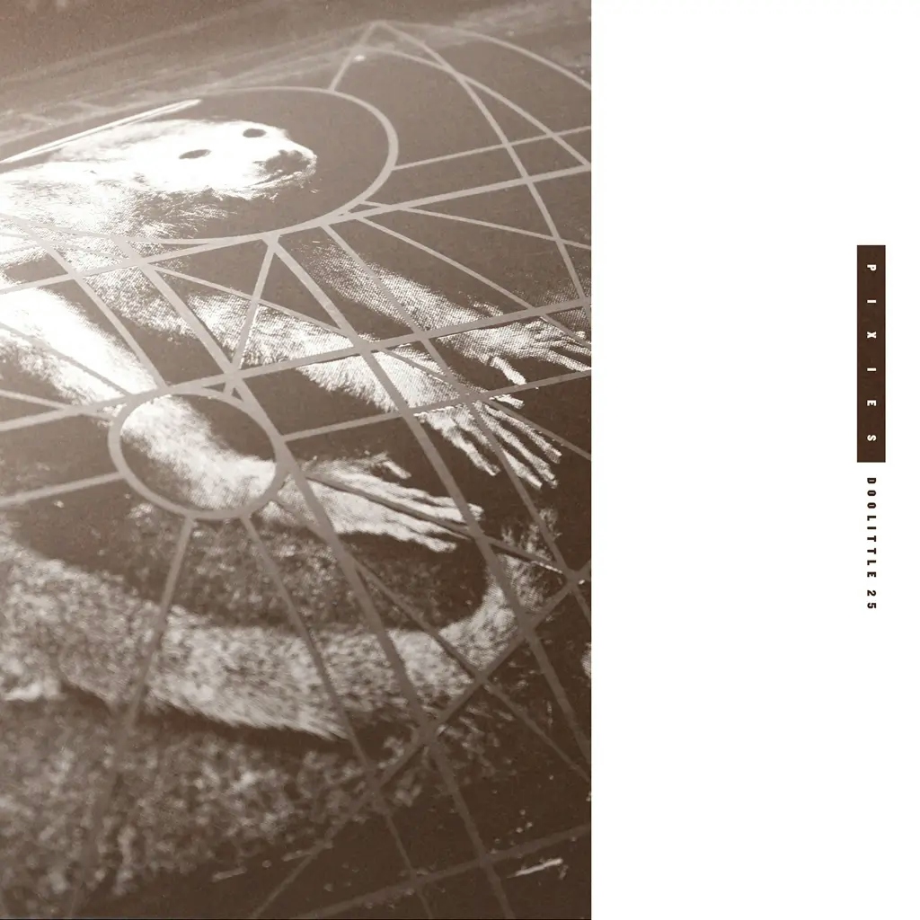 Album artwork for Pixies: Doolittle 25 by Pixies