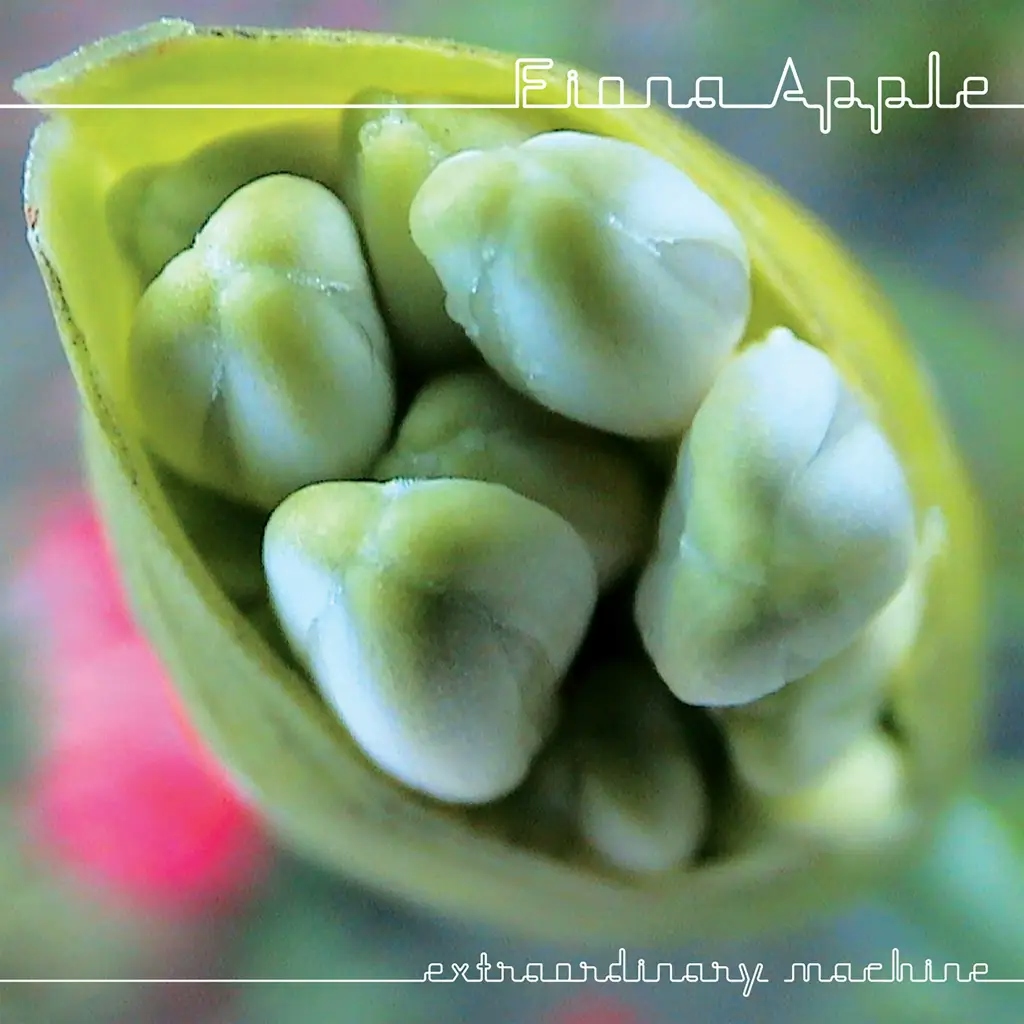 Album artwork for Extraordinary Machine by Fiona Apple