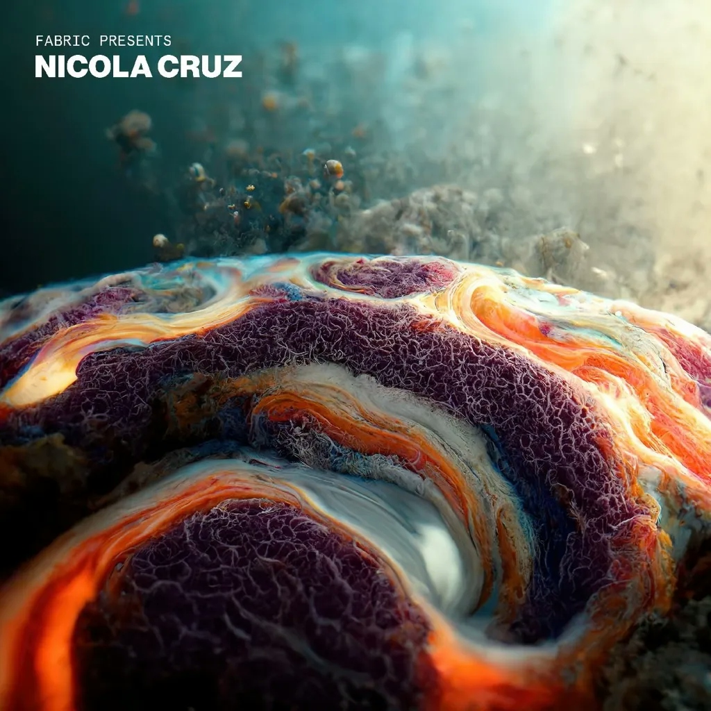 Album artwork for Fabric Presents Nicola Cruz by Nicola Cruz