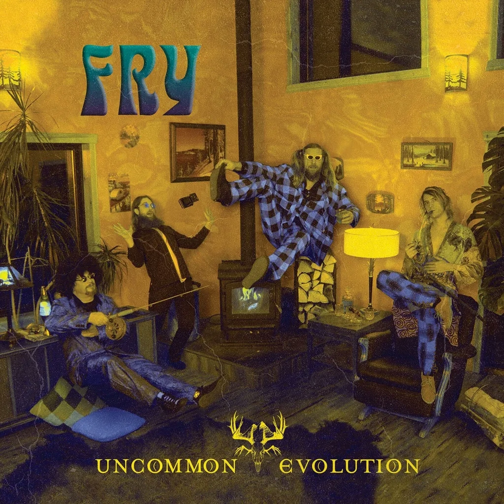 Album artwork for Fry by  Uncommon Evolution