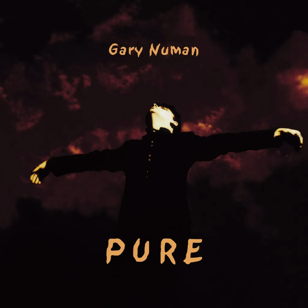 Album artwork for Pure by Gary Numan
