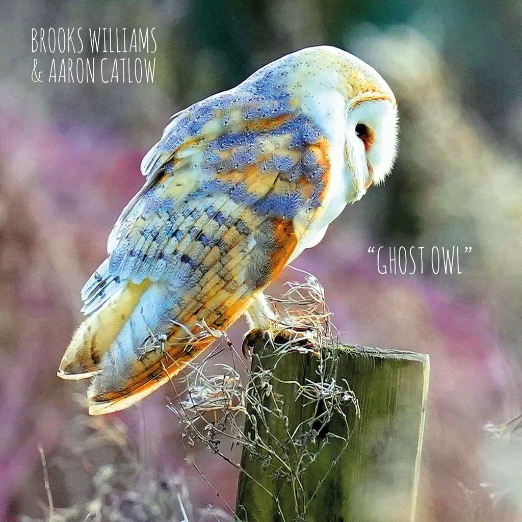 Album artwork for Ghost Owl by Brooks Williams and Aaron Catlow