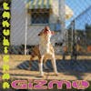 Album artwork for GIZMO by Tanukichan
