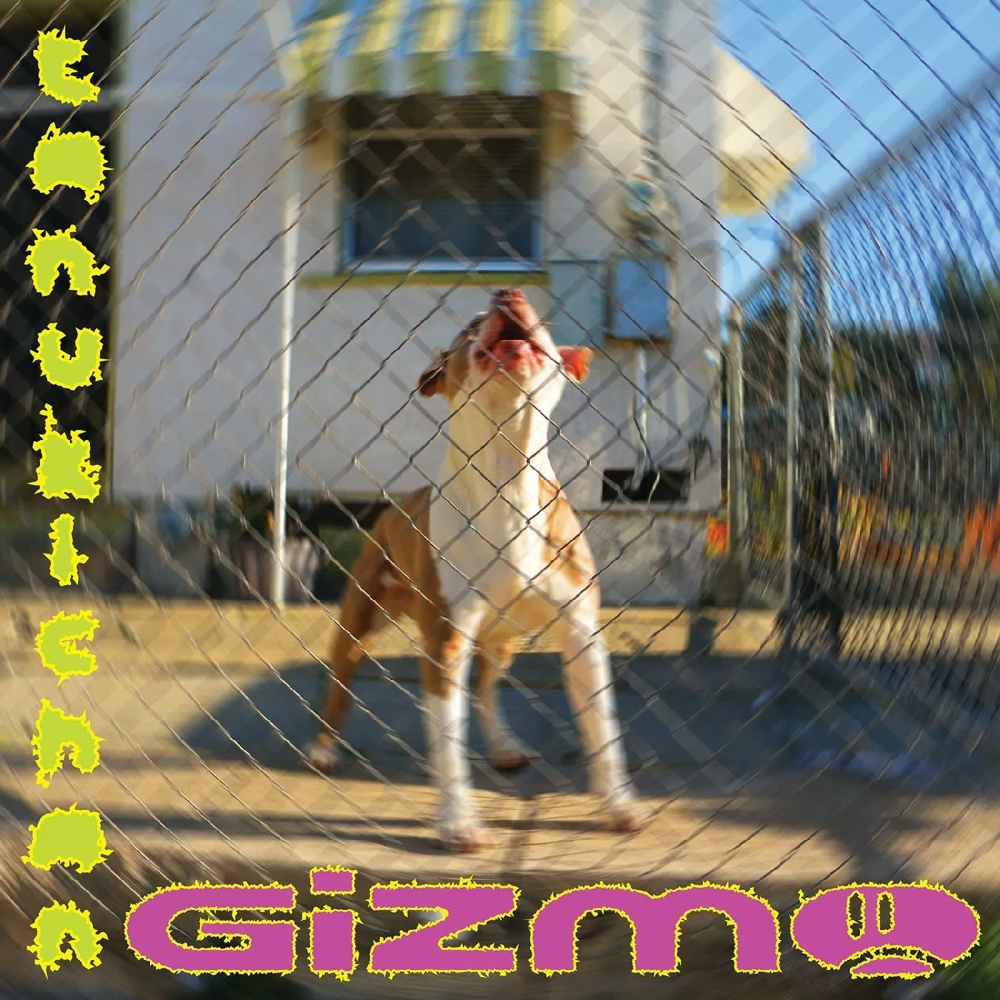 Album artwork for GIZMO by Tanukichan