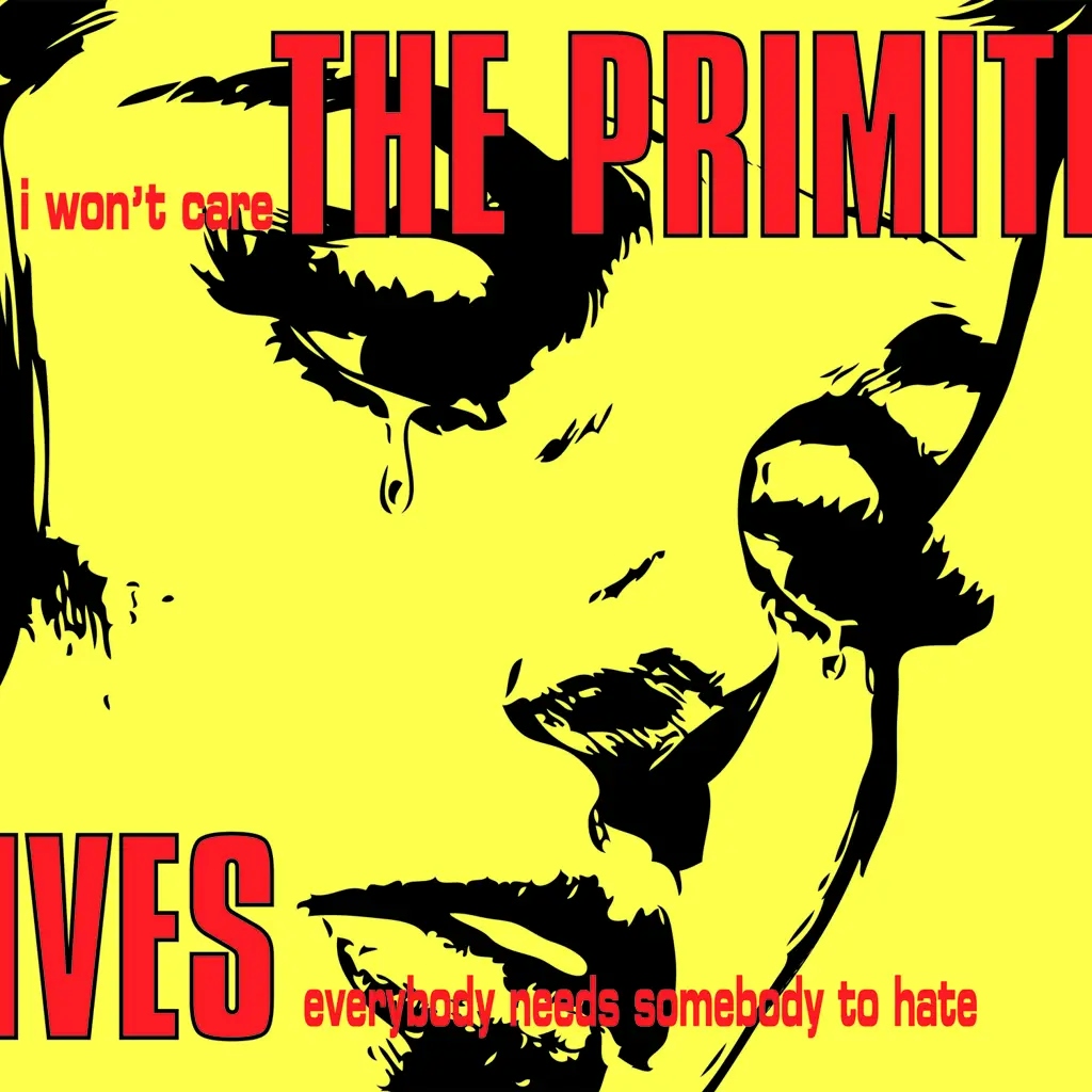 Album artwork for I Won't Care by The Primitives