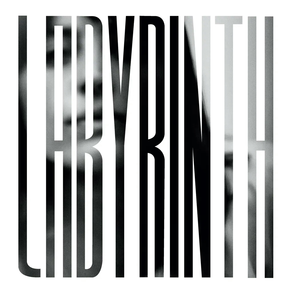 Album artwork for Labyrinth  by Heather Woods Broderick