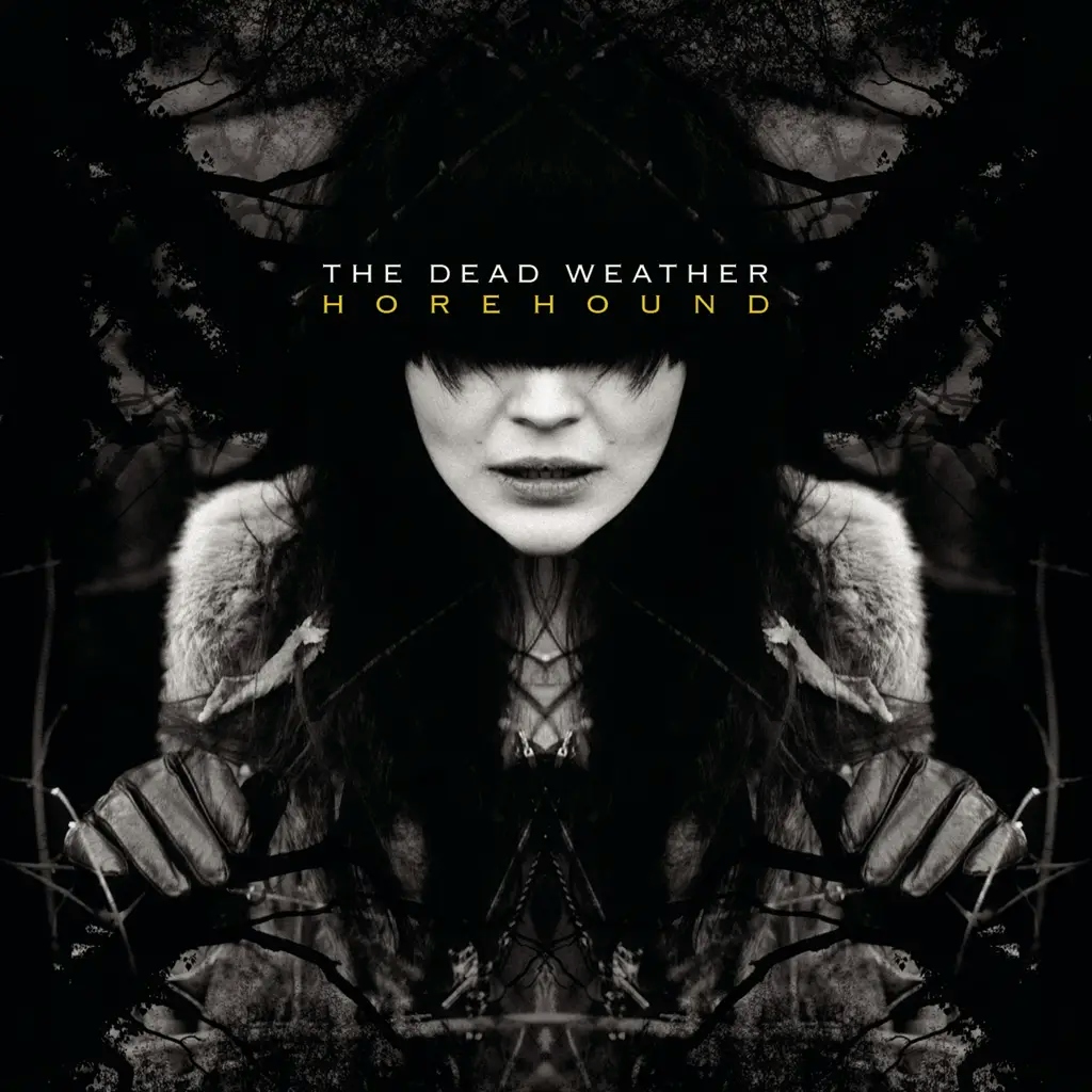Album artwork for Horehound by The Dead Weather