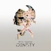 Album artwork for Identity by Nitin Sawhney