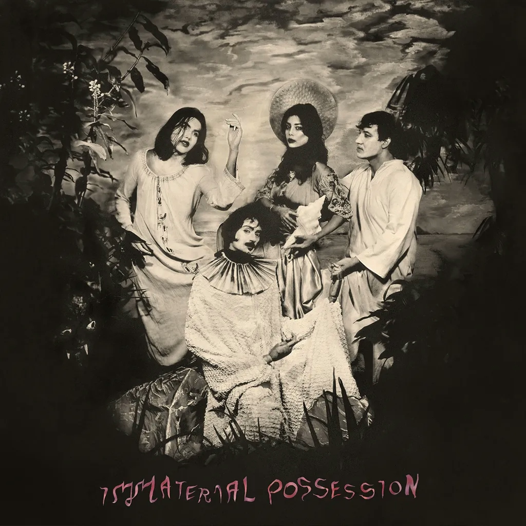 Album artwork for Immaterial Possession by Immaterial Possession