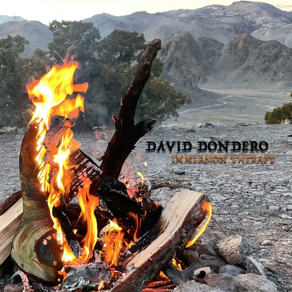 Album artwork for Immersion Therapy by David Dondero
