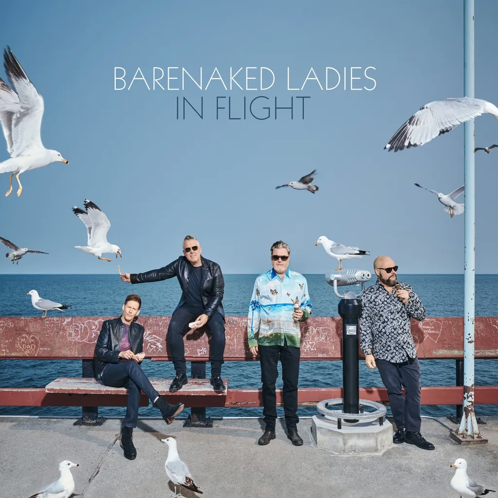 Album artwork for In Flight by  Barenaked Ladies