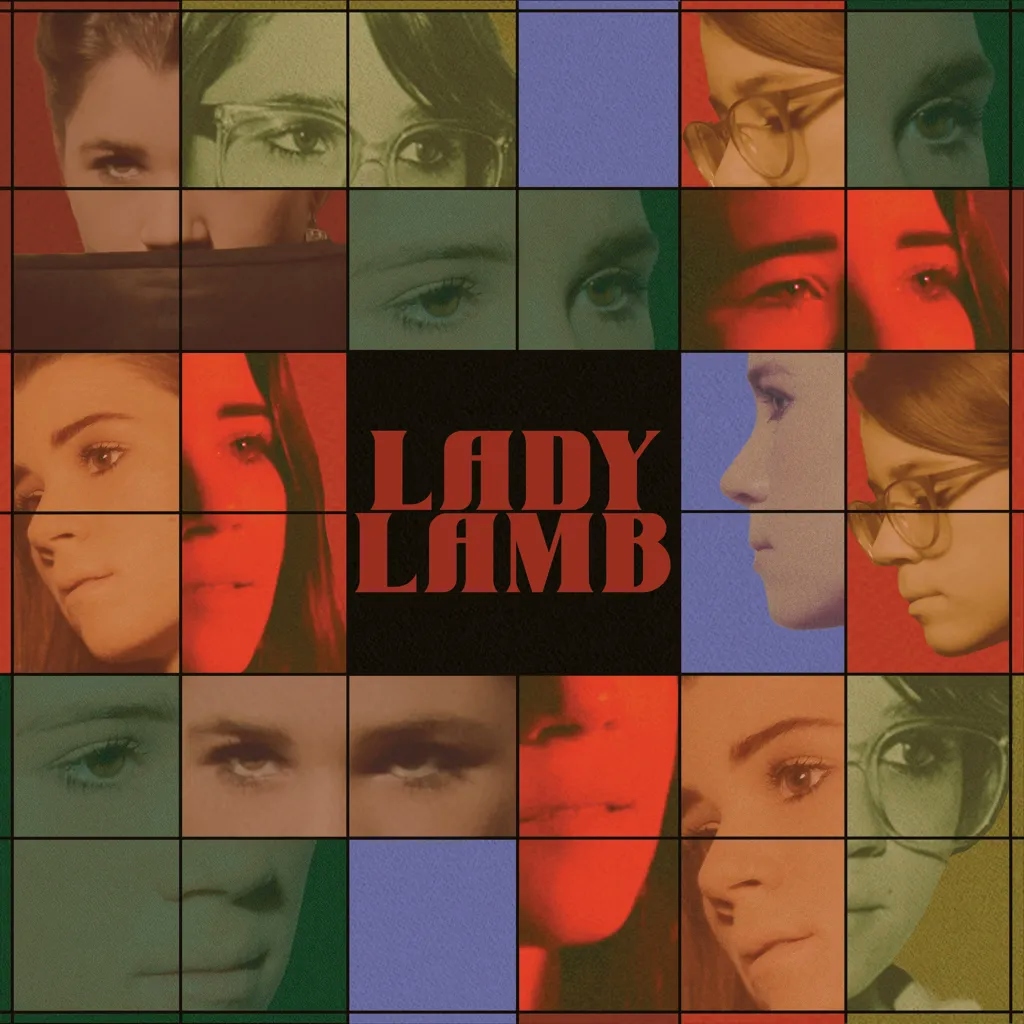 Album artwork for In The Mammoth Nothing Of The Night by Lady Lamb