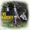 Album artwork for  Irregularis: The Great Hiatus by Thee Headcoats