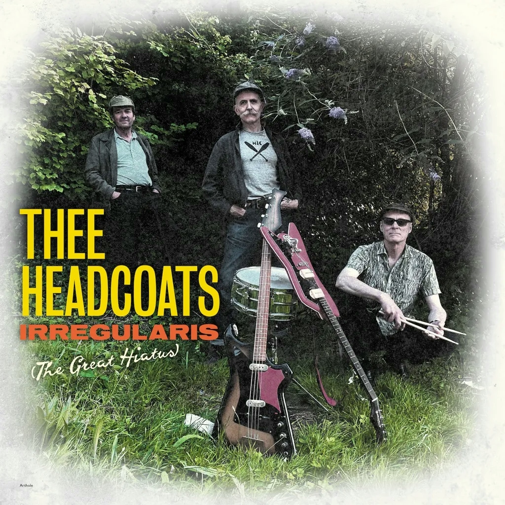 Album artwork for  Irregularis: The Great Hiatus by Thee Headcoats
