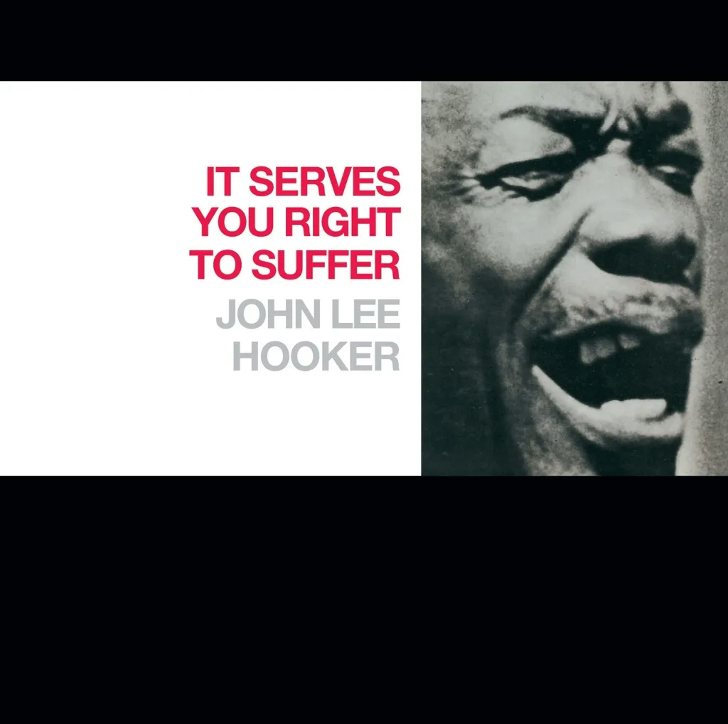Album artwork for It Serves You Right To Suffer by John Lee Hooker