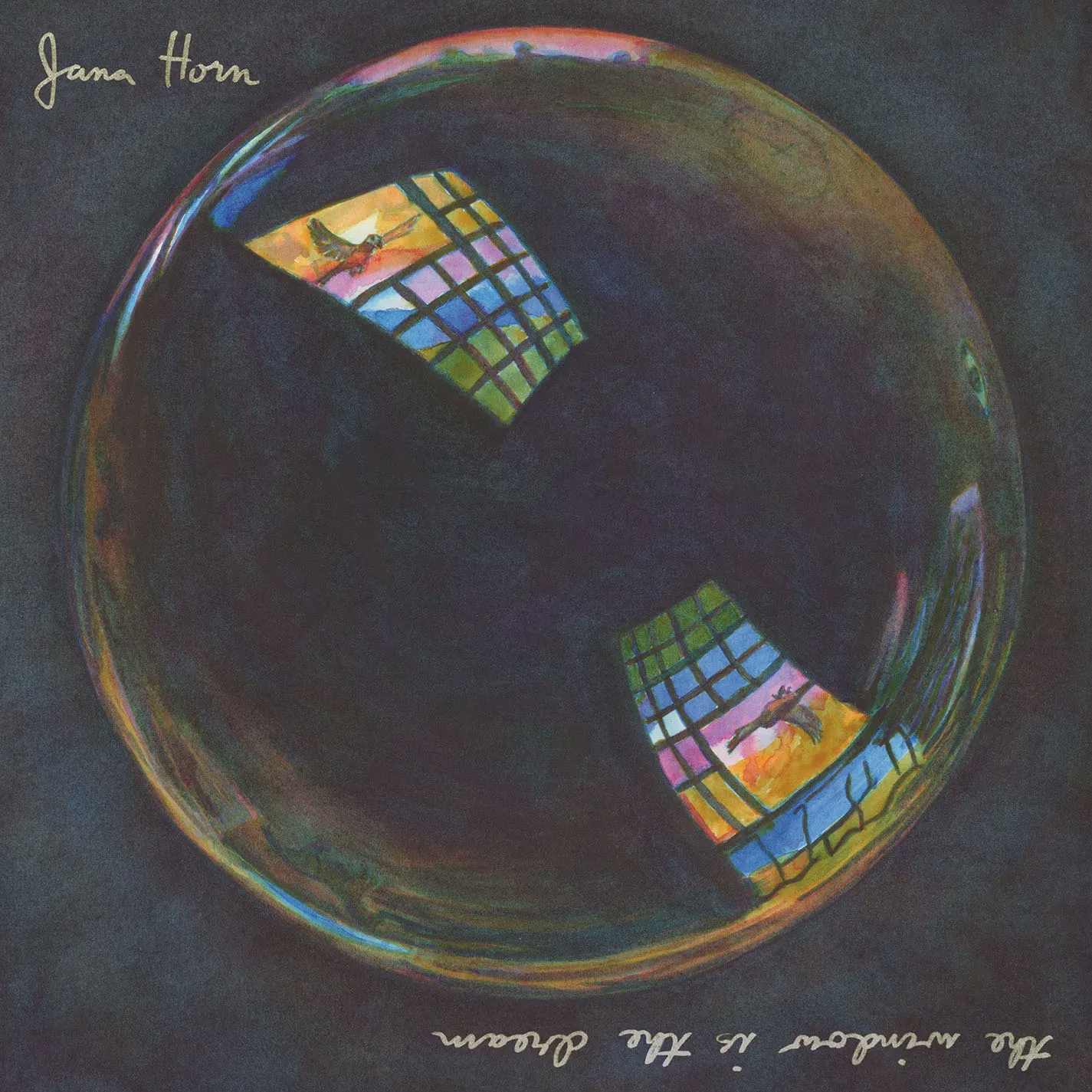 Album artwork for Album artwork for The Window is the Dream by Jana Horn by The Window is the Dream - Jana Horn