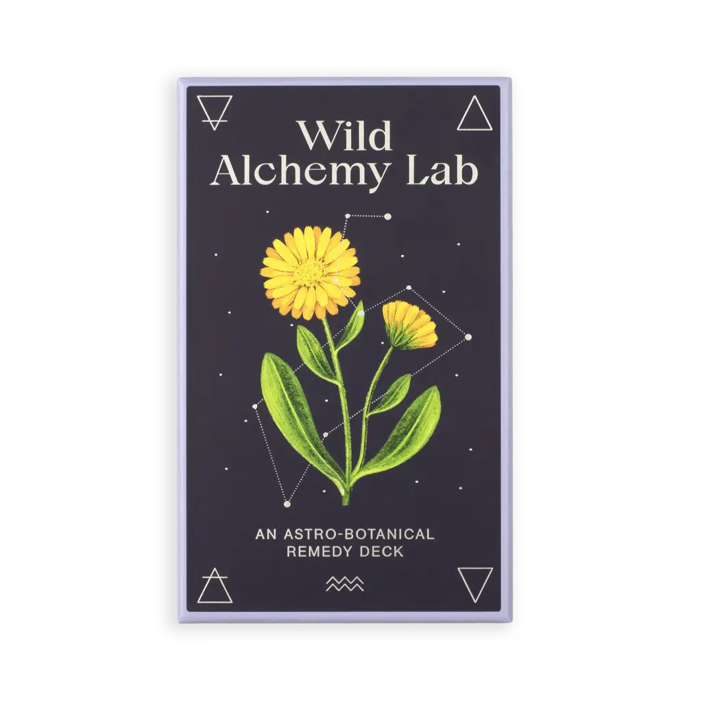Album artwork for Wild Alchemy Lab by Jemma Foster