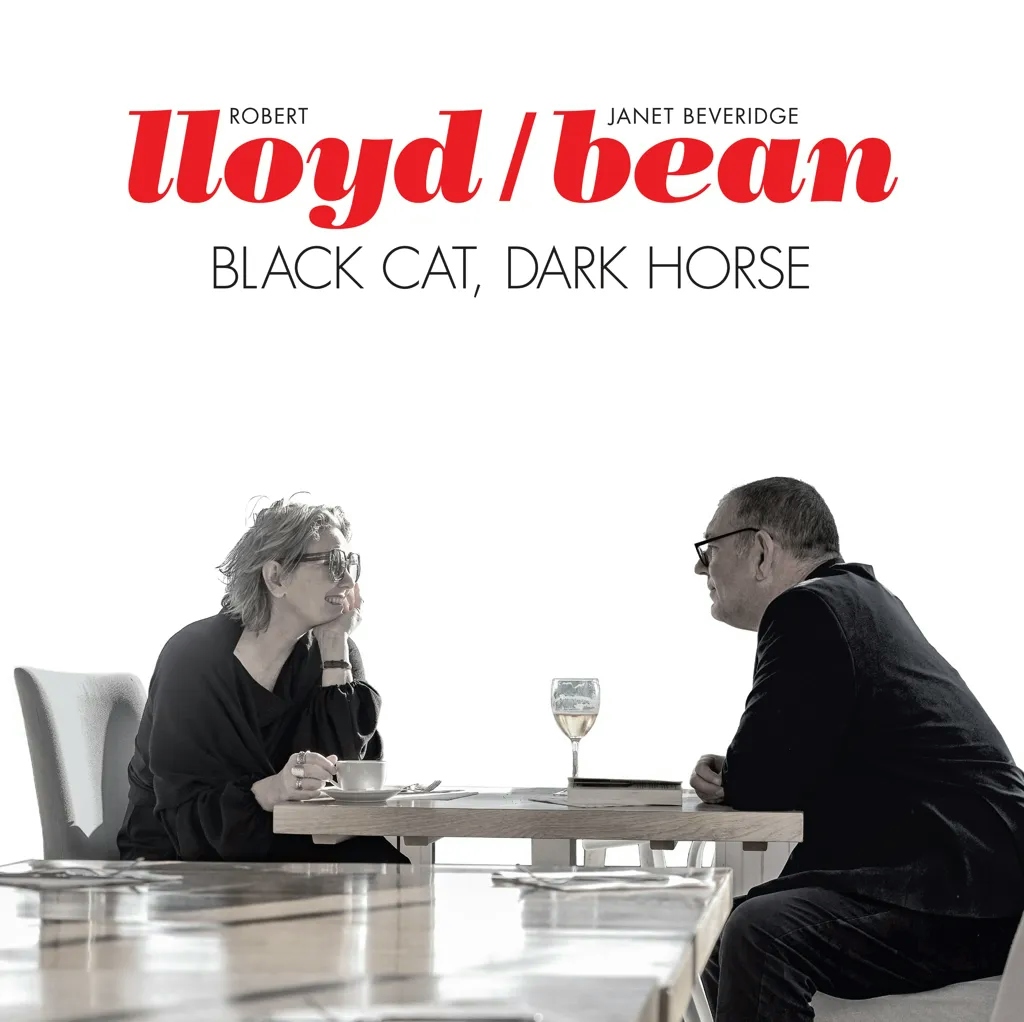 Album artwork for Black Cat, Dark Horse by Lloyd / Bean