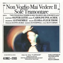Album artwork for Non Voglio Mai Vedere by Caroline Polachek