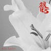 Album artwork for Lilies by Echo Ladies