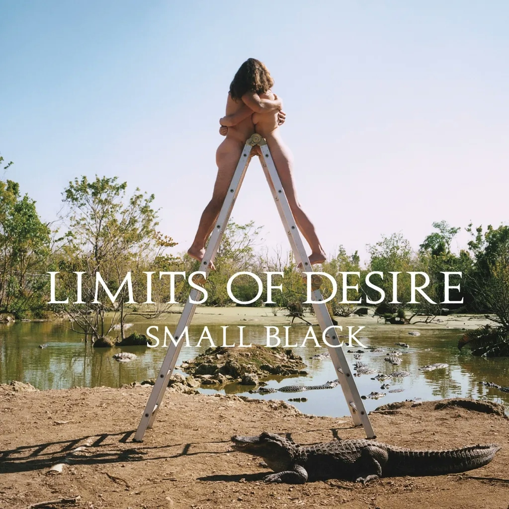 Album artwork for Limits Of Desire by Small Black