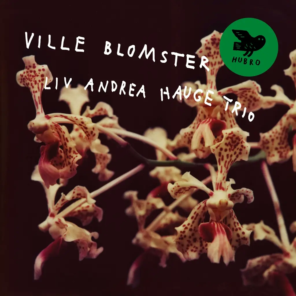 Album artwork for Ville Blomster by Liv Andrea Hauge Trio