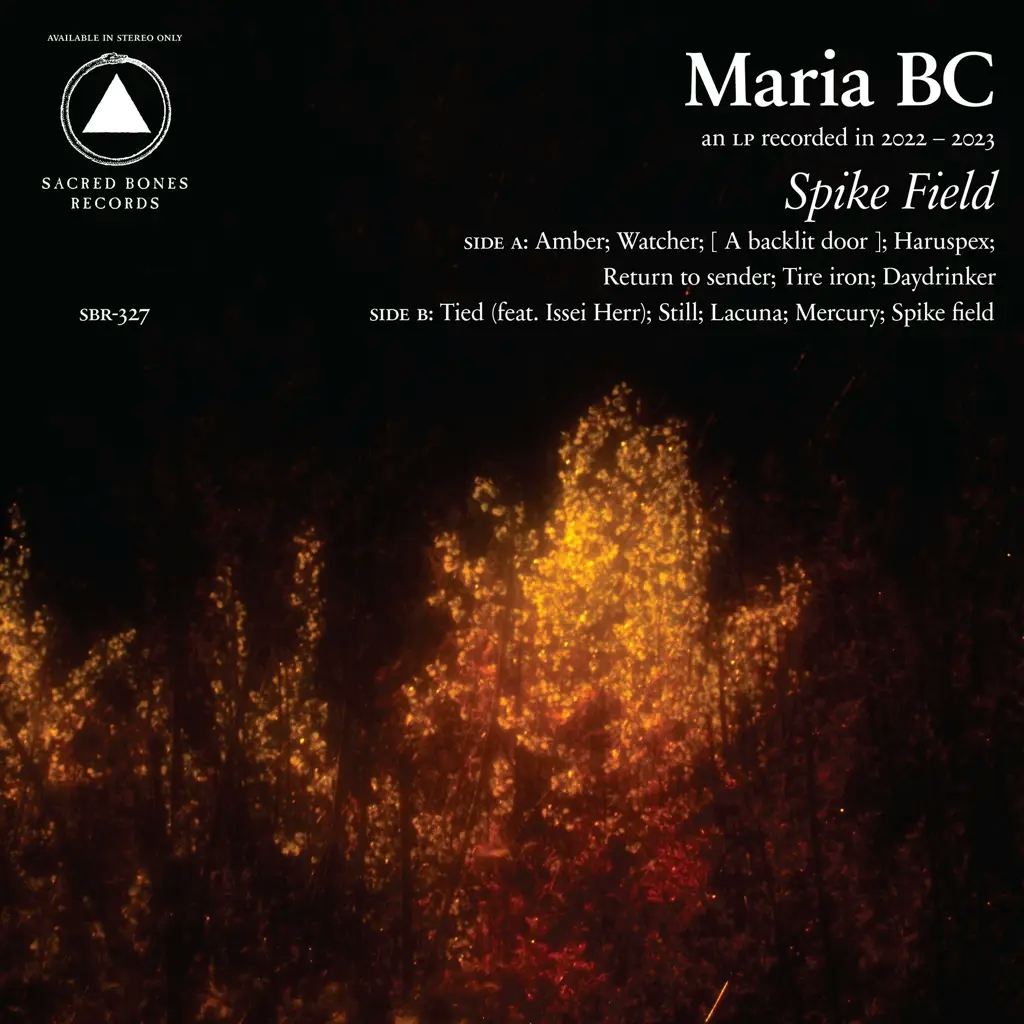 Album artwork for Spike Field by Maria BC