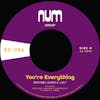 Album artwork for You're Everything / You're All I Need by Michael Dixon and J.O.Y